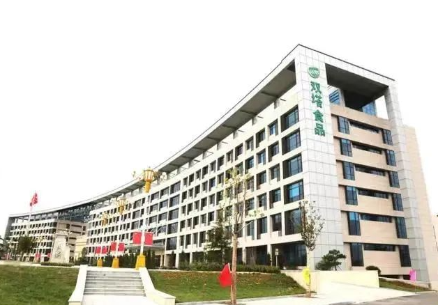 豌豆等原材料价格上涨，双塔食品布局人造肉前路几何？