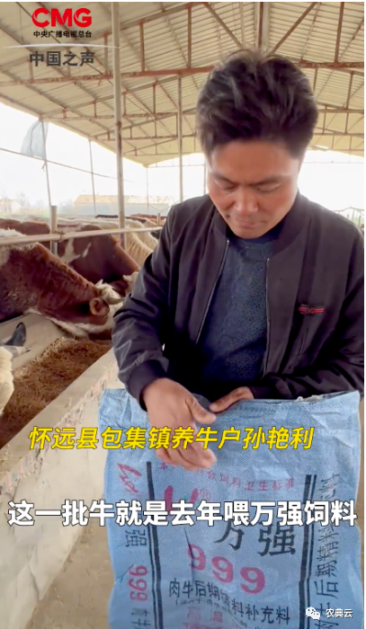 畜牧3·15：劣质饲料兽药、光吃不长，游走在质量和利益边缘的不法商家