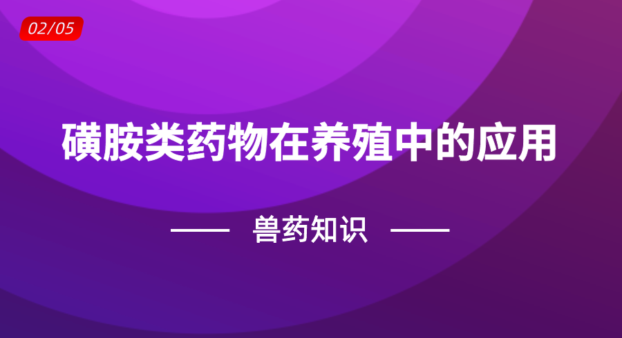 兽药知识 | 磺胺类药物在养殖中的应用