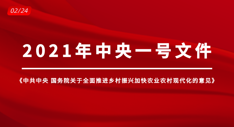 重磅！2021年中央一号文件发布，要点抢先