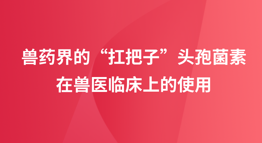 兽药界“扛把子”头孢菌素在兽医临床的
