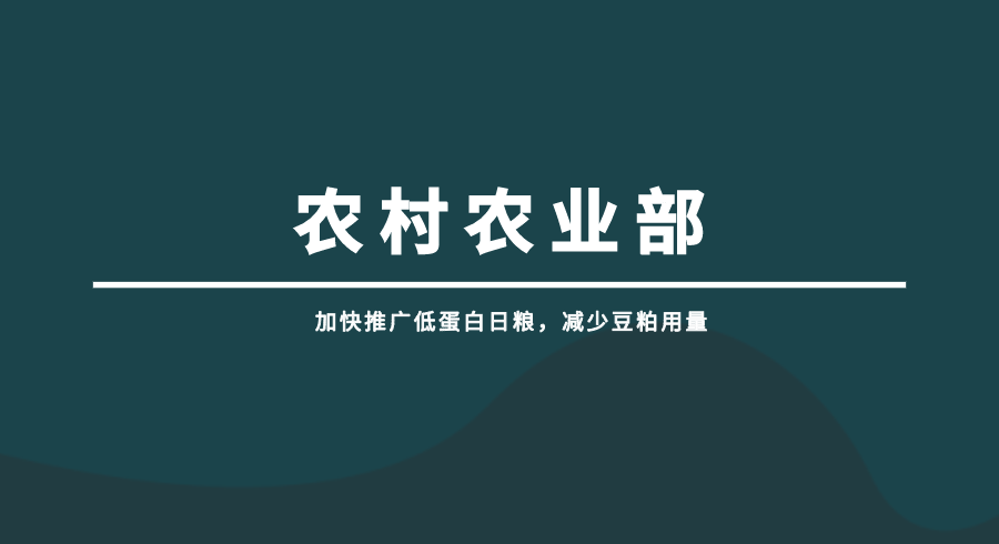 加快推广低蛋白日粮，减少豆粕用量