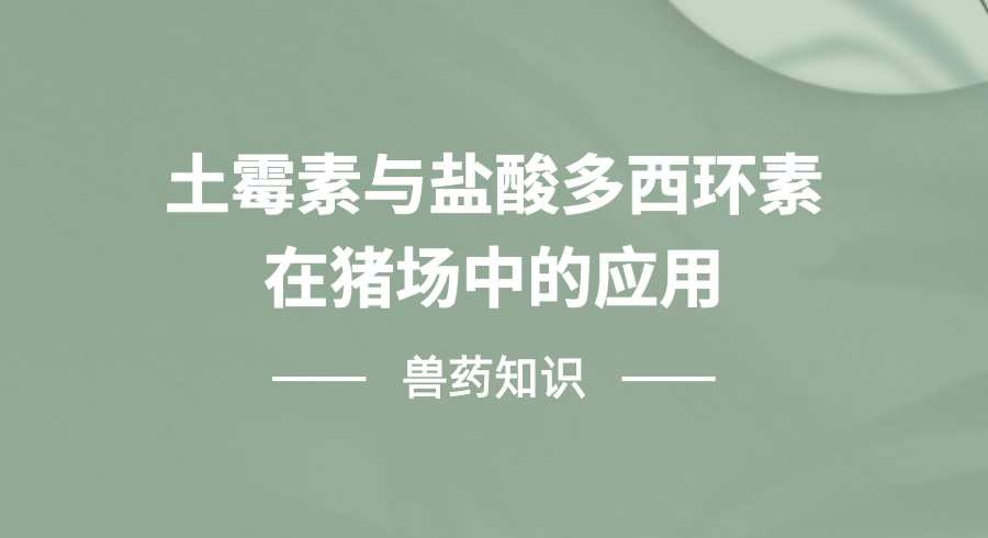 土霉素与强力霉素在猪场中的应用