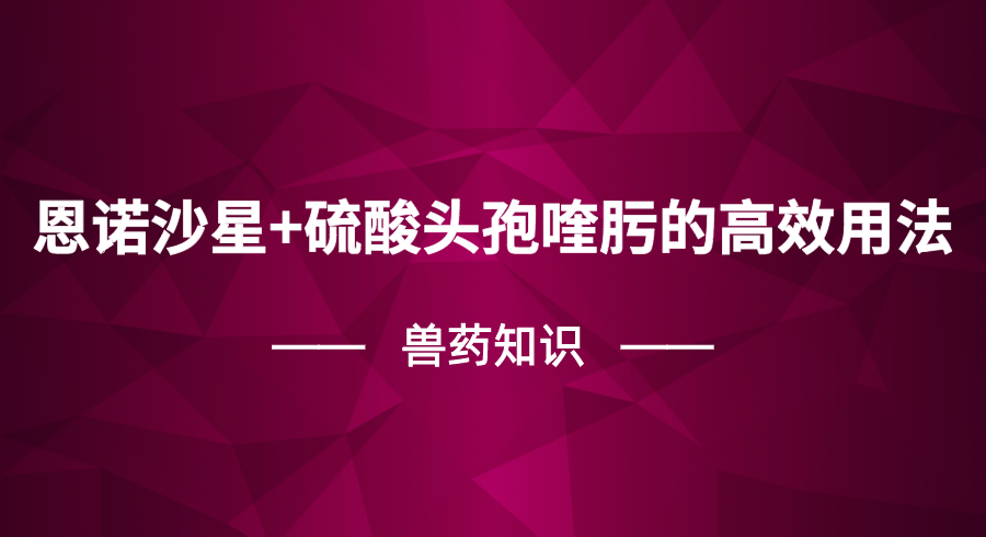 恩诺沙星+硫酸头孢喹肟的高效用法