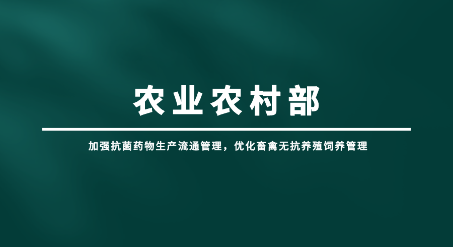 加强抗菌药管理，优化畜禽无抗养殖饲养